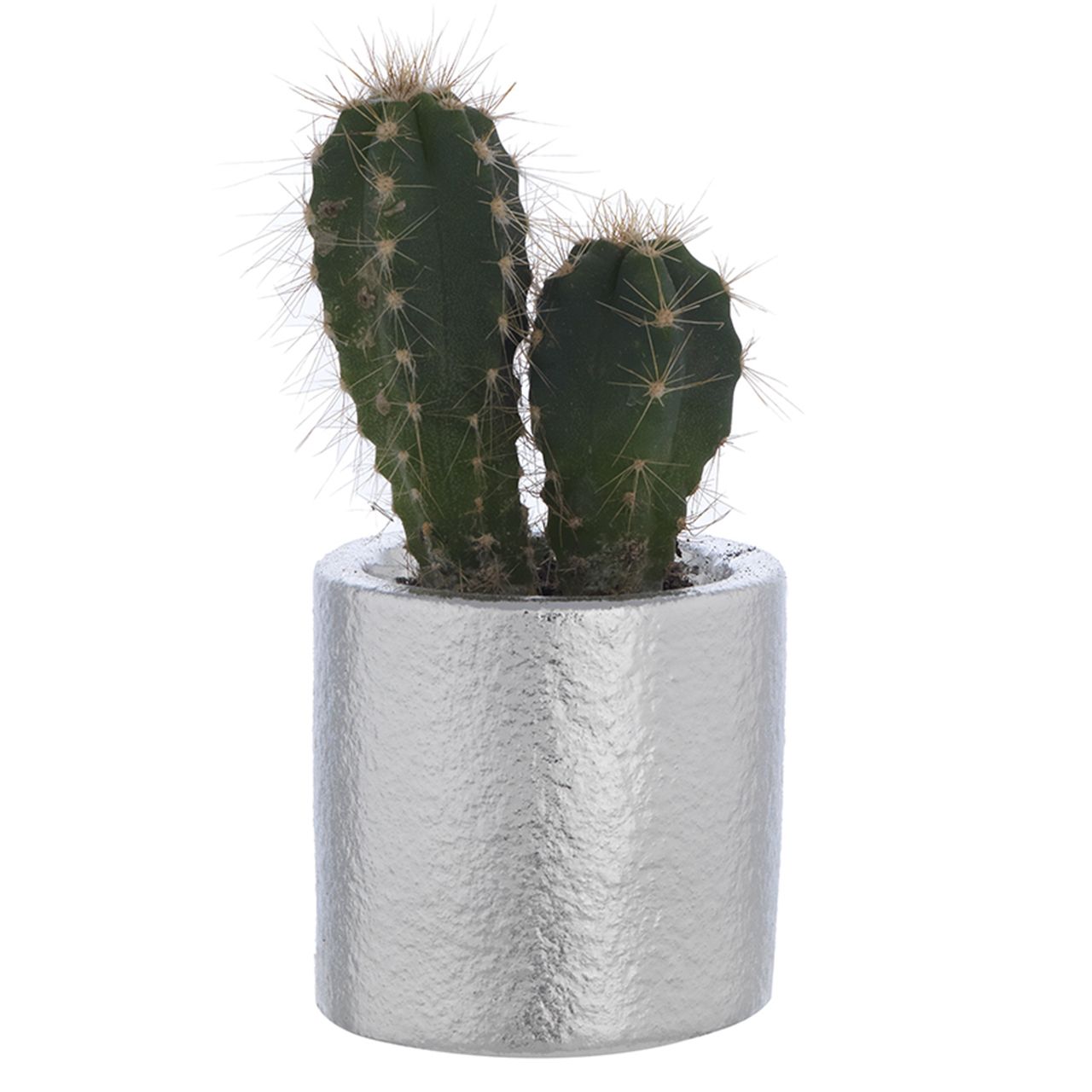 PORTAVASO CILINDRO